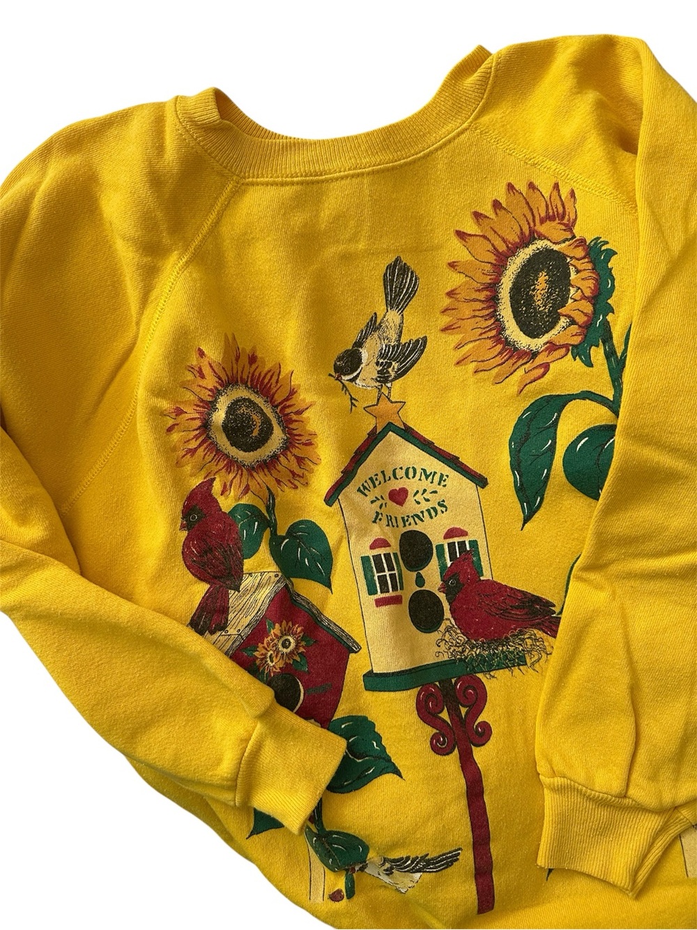 Hanes Welcome Friends Sweatshirt L